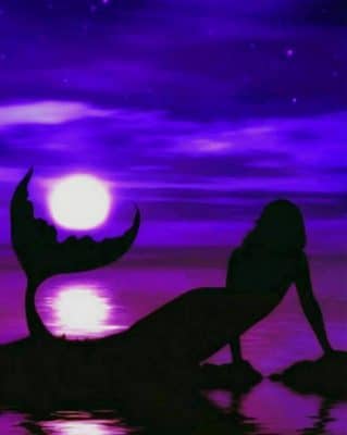 Silhouette Mermaid paint by numbers