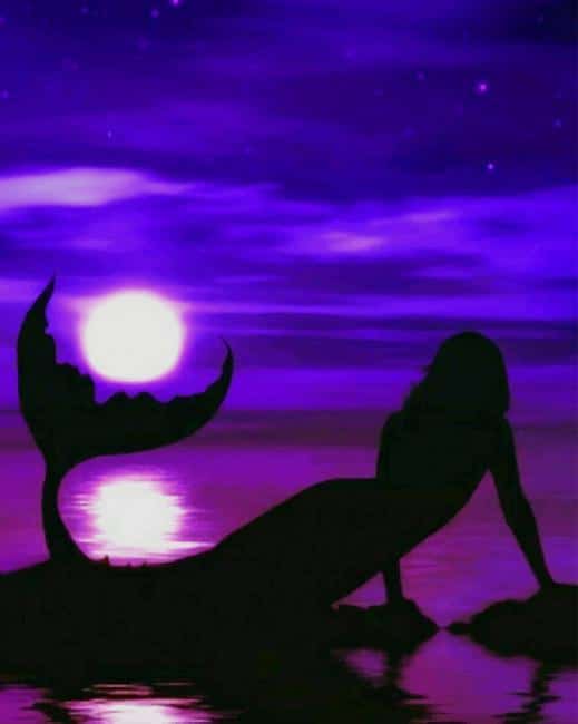 Silhouette Mermaid paint by numbers