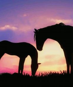 Silhouette of Horses paint by numbers