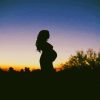 Silhouette of Pregnant Woman paint by numbers