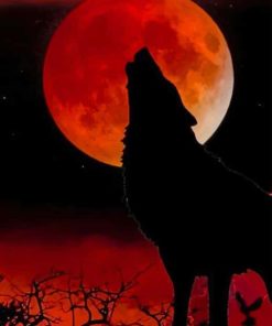 Silhouette of Wolf and Moon paint by numbers