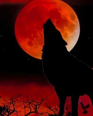 Silhouette of Wolf and Moon paint by numbers