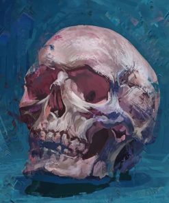 Skull paint By numbers