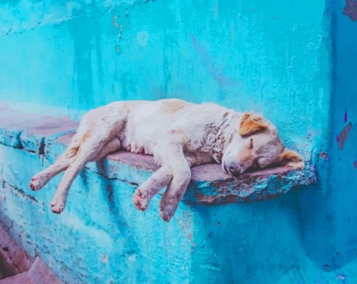 sleepy aspin dog paint by number