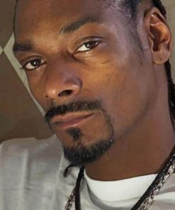 Snoop Dogg Rapper paint by numbers