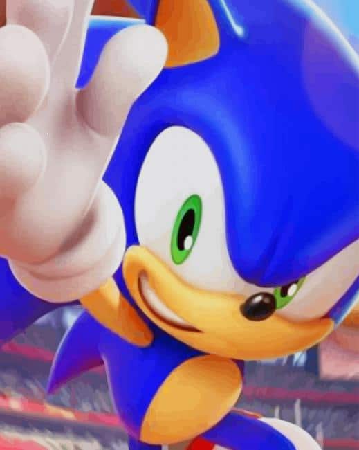 Sonic At The Olympic paint by numbers