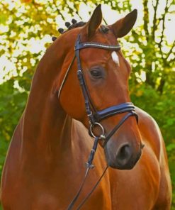 Sorrel Horse paint by numbers