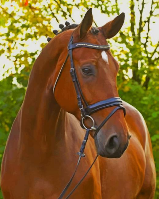 Sorrel Horse paint by numbers