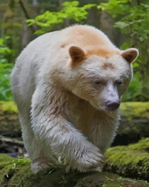 Spirit Bear paint by numbers