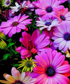 Spring Colorful Flowers paint by number