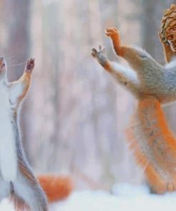 Squirrels Having Fun In Snow paint by number