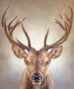 Stag Painting paint by numbers