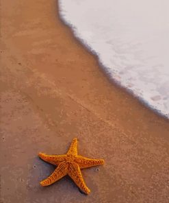 Starfish On The Beach paint by numbers