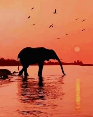 Sunset Beautiful Elephant paint by numbers