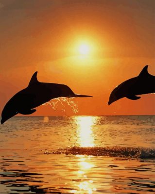 Sunset Dolphins paint by numbers