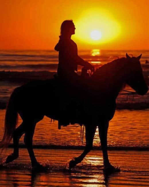 Sunset Horse Ride on The Beach paint by numbers