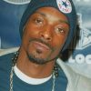 The Famous Rapper Snoop Dogg paint by numbers