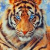 Tiger Animal paint by numbers