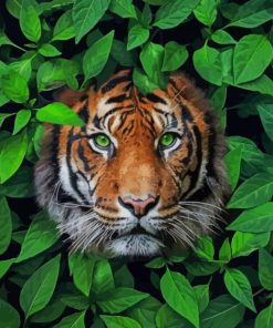 Tiger with Green Eyes paint by numbers