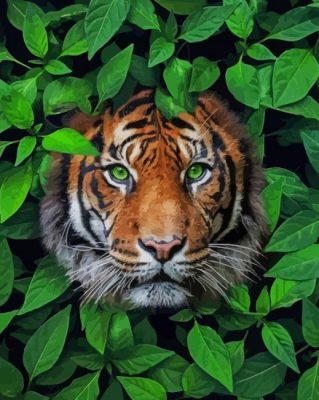 Tiger with Green Eyes paint by numbers