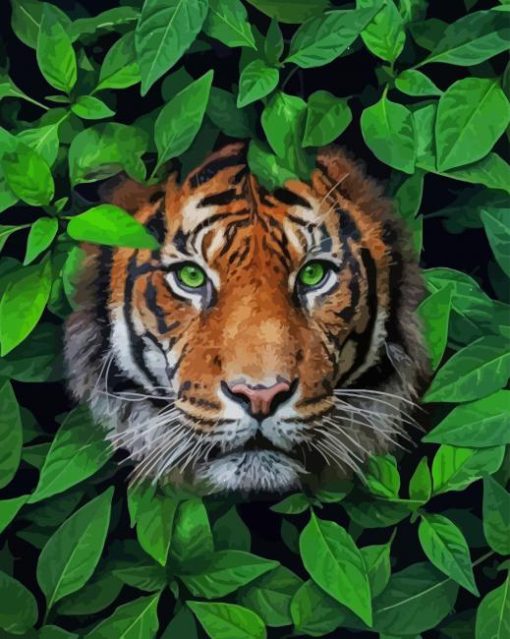 Tiger with Green Eyes paint by numbers