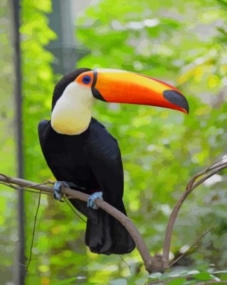 Toco Toucan paint by numbers