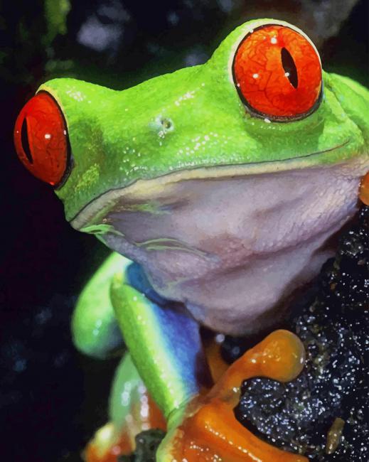 Tree Frogs paint by numbers