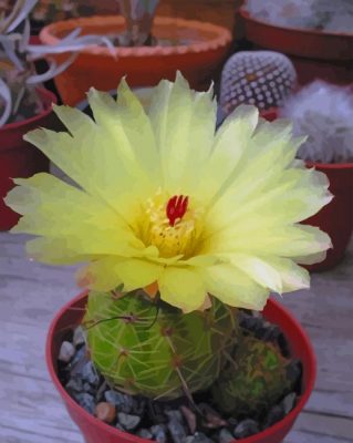 Trichocereus Vatteri Cactus paint by numbers