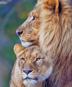 True Love Lion and Lioness paint by numbers