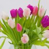 Pink Tulip Bouquet paint by number