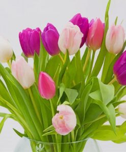 Pink Tulip Bouquet paint by number