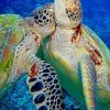 Turtles Hug paint by numbers