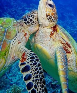 Turtles Hug paint by numbers