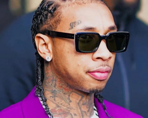 Tyga American Rapper Paint By Numbers