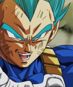 Vegeta Dragon Ball Super paint by numbers