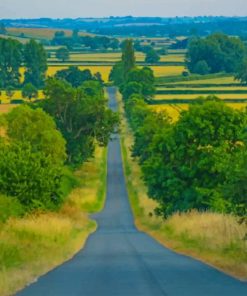 View Of Pathway painting by numbers