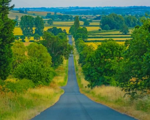 View Of Pathway painting by numbers