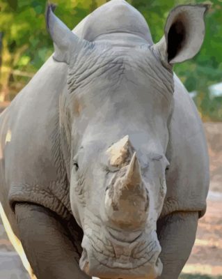 White Rhinoceros  NEW Paint By Numbers
