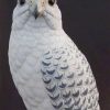 White Falcon Bird paint by numbers