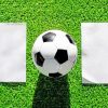 White Soccer Ball On Green Grass painting by numbers