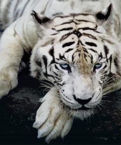 White Tiger paint by number