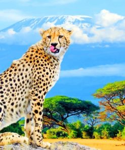 african cheetah painting by numbers