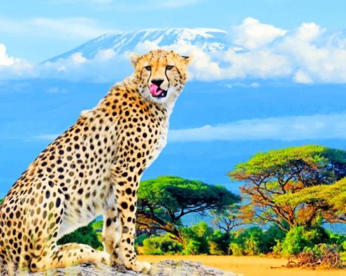 african cheetah painting by numbers