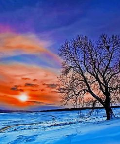 Winter Beautiful Sunset paint by number