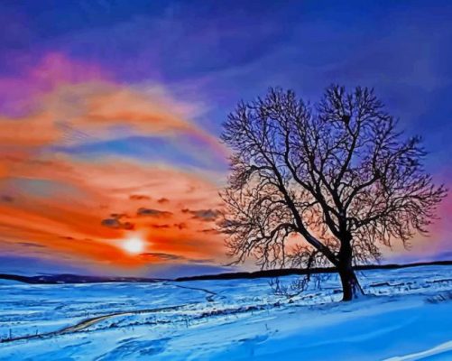 Winter Beautiful Sunset paint by number