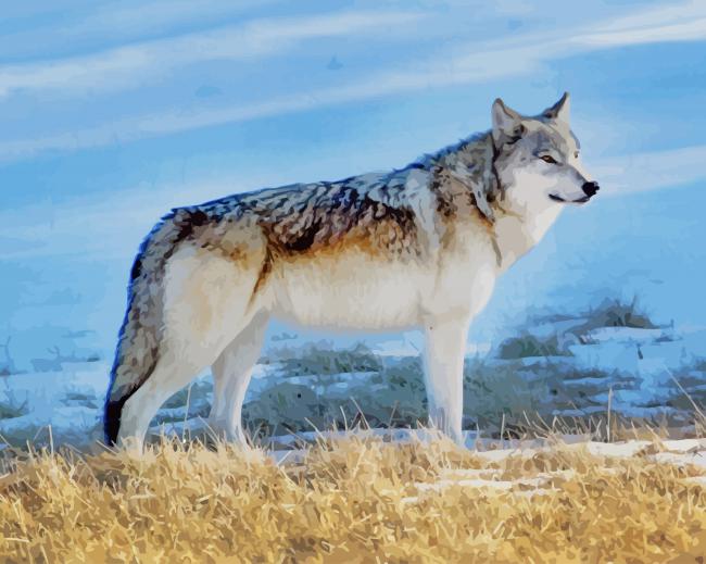 Wolves in The Wild paint by numbers