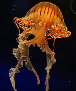 Yellow Jellyfish paint by numbers