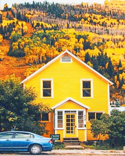 Yellow House Forest paint by numbers