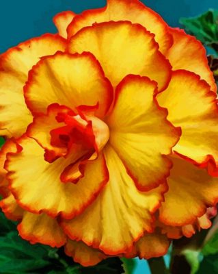 Yellow Orange Carnation paint by numbers