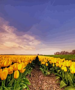 Yellow Tulip Field paint by number